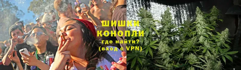 МАРИХУАНА SATIVA & INDICA  Малая Вишера 